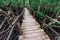 Beautiful mangrove forest with wooden path inside in Zanzibar