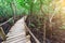 Beautiful mangrove forest with wooden path inside in Zanzibar