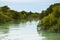 Beautiful mangrove forests with lush trees on the water