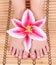Beautiful manicured female bare feet with pink lily flower over bamboo mat