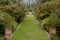 Beautiful manicured lawn in a summer garden