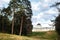 Beautiful mansion on a hill. Around the trees and green grass