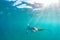 Beautiful Manta Ray flying underwater in sunlight in the blue sea