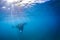 Beautiful Manta Ray flying underwater in sunlight in the blue sea