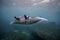 Beautiful Manta Ray underwater with scuba divers