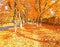 Beautiful maple trees with yellow leaves in autumn