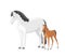 Beautiful mare with a newborn foal