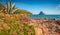 Beautiful marine scenery. Picturesque spring view of Tavolara island from Porto Taverna beach