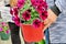 Beautiful maroon flowers in a pot close up