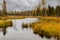 Beautiful marshland in autumn cloudy day. Northern nature fall landscape