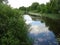 Beautiful marshland river summer day