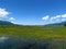 Beautiful marshland with yellow aquatic flowers at lake Cerknica in Notranjska