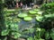 Beautiful Massive Kew Garden united kingdom