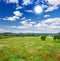 Beautiful meadow and blue sky