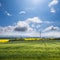 Beautiful meadow and blue sky