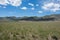 Beautiful meadow and field in Antelope Island State Park in Utah, on the shores of the Great Salt Lake