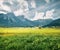 Beautiful meadow on the Golf club Zugspitze, Lermoos village location.