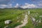 Beautiful meadow landscape of the Hierapolis Archaeology site in Pamukkale