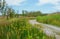 Beautiful meadow nature landscape along walk path