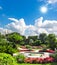 Beautiful mediterranean garden. french riviera