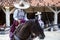 Beautiful Mexican equestrian show with a traditional hat on an Aztec horse of great lineage changing from gallop.