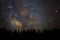 Beautiful milkyway and silhouette of pine tree on a night sky