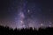 Beautiful milkyway and silhouette of pine tree on a night sky be