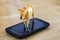 Beautiful miniature horse, plastic toy model on screen of cell phone.