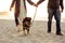 A beautiful Miniature Schnauzer dog on a beach. Walking with his owners.