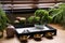 Beautiful miniature zen garden, candles and oil lamps near window