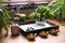 Beautiful miniature zen garden, incense sticks and oil lamps near window