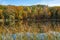 Beautiful Minnesota lake in fall, with trees, lily pads, and reeds on a sunny autumn day. Taken in Marine on St Croix MN