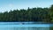 Beautiful Minnesota lake with forest on shoreline, blue sky and water, and a fishing boat with two people casting for fish.