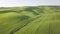 Beautiful and miraculous colors of green spring panorama landscape of Tuscany, Italy. Sunny morning near Pienza. Aerial view.