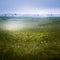 A beautiful mire landscape in Finland