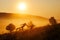 Beautiful mist in the morning. Silhouettes of two people making happy jump during beautiful golden sunrise