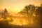 A beautiful misty morning in the river valley. A springtime sunrise with fog at the banks of the river over trees.