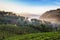 Beautiful misty morning sunrise in strawberry garden and strawberry farm at Doi Ang Khang