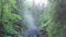 Beautiful misty morning view of foggy gorge in dense green summer forest. Stock footage. Aerial of mixed forest and
