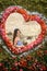 Beautiful model girl in rose flower heart shape frame