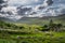 Beautiful Molls Gap with Owenreagh River valley, MacGillycuddys Reeks mountains and sheep farms