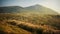 Beautiful moment at Yangmingshan National Park a collection of peaks in Taiwan,located to the northeast of Taipei,selective focus