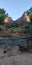 Beautiful moments hiking in Zion National Park in Utah