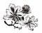 Beautiful monochrome, black and white flower isolated. Hand-drawn contour lines strokes.