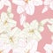 Beautiful monochrome, sepia and pink outline seamless pattern with lilies.