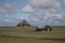 Beautiful Mont Saint Michel cathedral on the island, Normandy, Northern France, Europe. with livestock of sheeps. View at the Mont