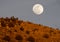 Beautiful Moon Over Mount Lemmon ridge