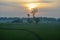 beautiful morning atmosphere in the rice fields with green rice plants