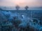 Beautiful morning with frost on plants. Autumnal landscape.