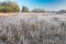 Beautiful morning with frost on plants. Autumnal landscape.